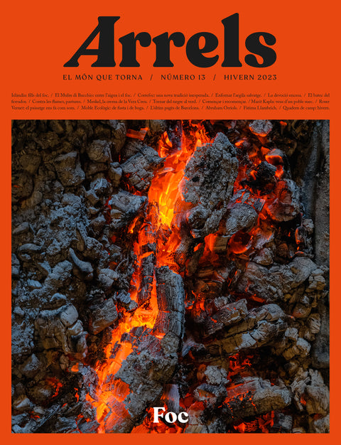 Arrels #13 