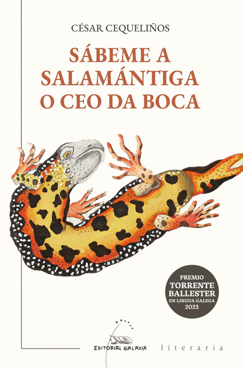 Sábeme a salamántiga o ceo da boca 