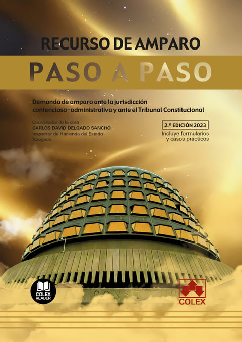  Recurso de amparo. Paso a paso 