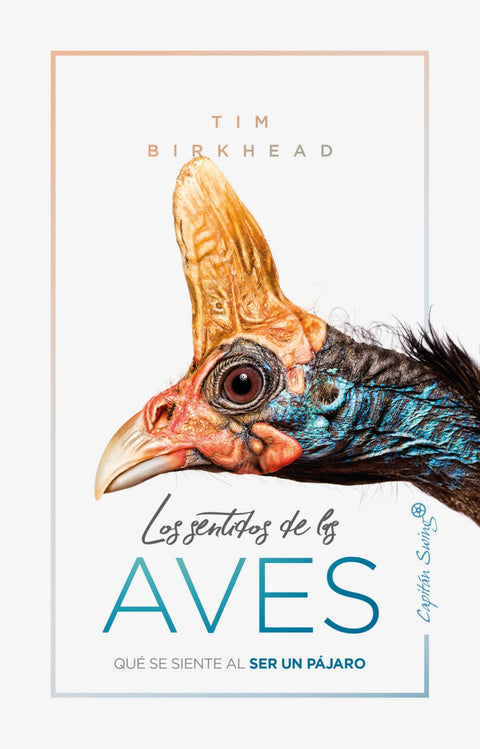  LOS SENTIDOS DE LA AVES 