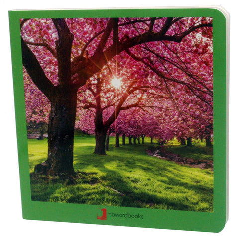  Primavera 