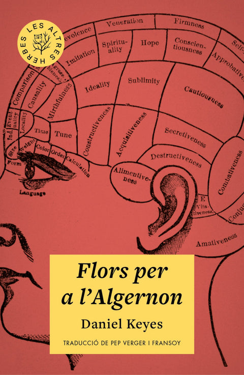  Flors per a l'Algernon 
