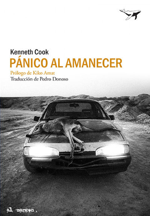  Pánico al amanecer 