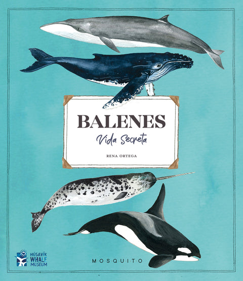  Balenes. Vida secreta 