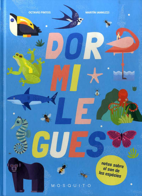  DORMILEGUES 