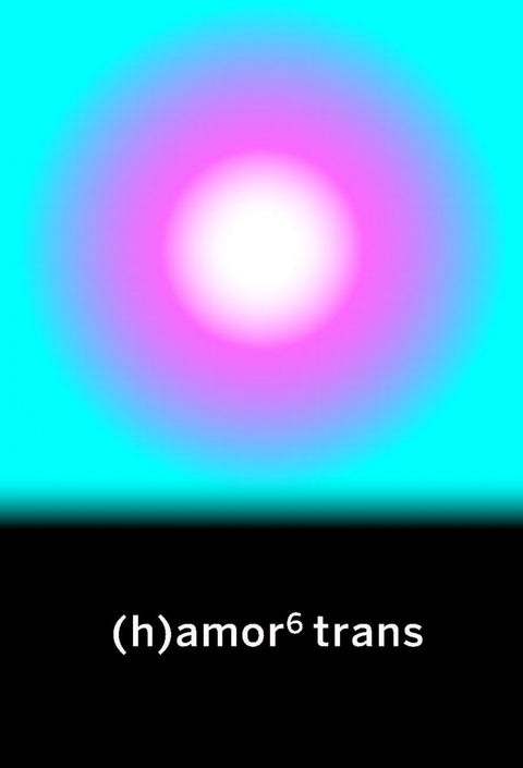  (h)amor 6 trans 