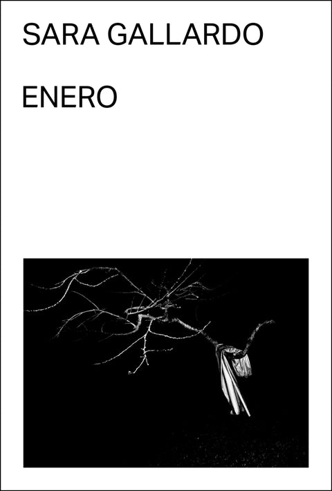  Enero 