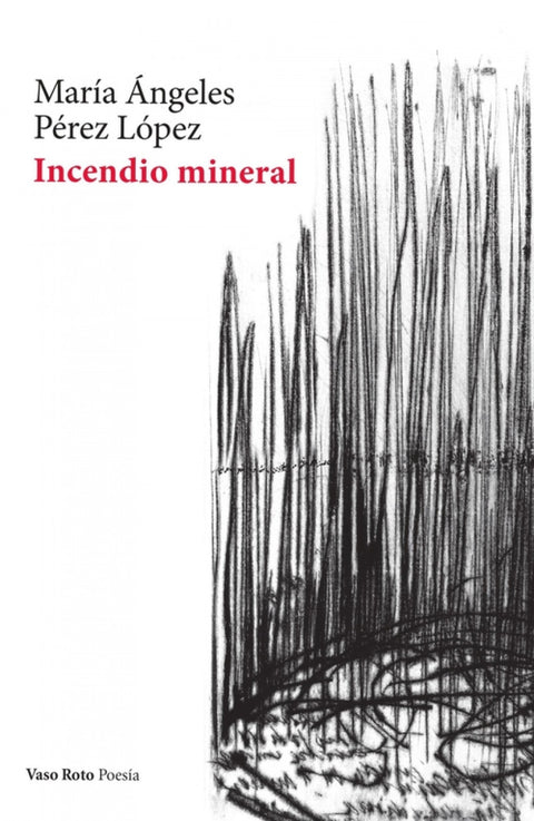  Incendio mineral 