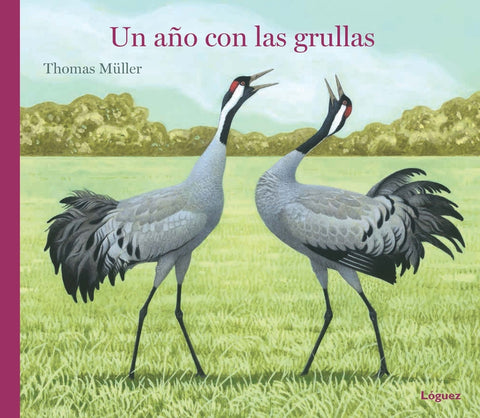  Un año con las grullas 