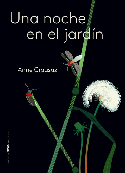  Una noche en el jardín 