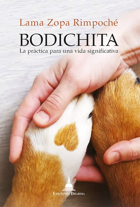  BODICHITA 