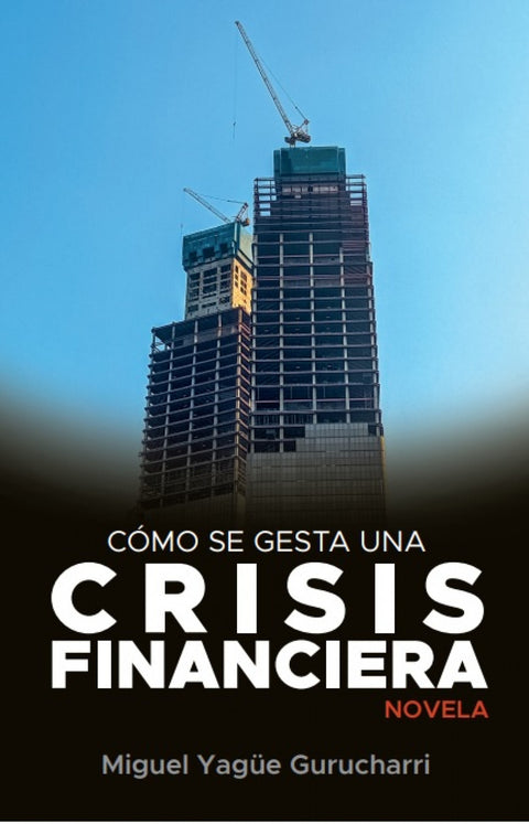  Cómo se gesta una crisis financiera 