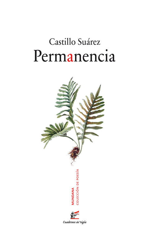  Permanencia 