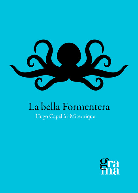  La bella Formentera 