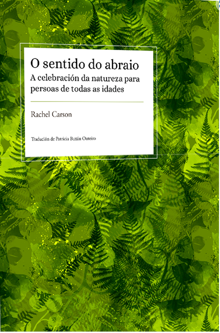  O sentido do abraio 