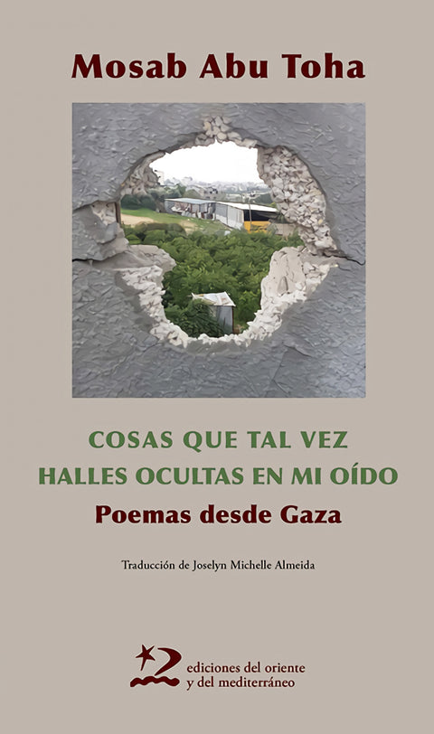  Las cosas que tal vez halles ocultas en mi oido 