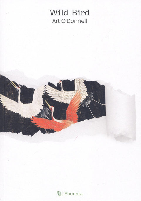  Wild bird 