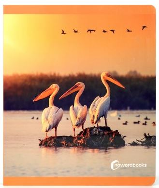  AVES 