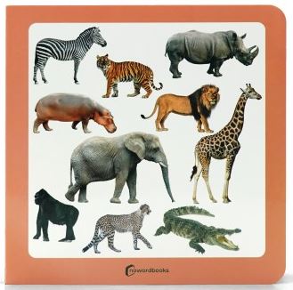  ANIMALES MARINOS 2 