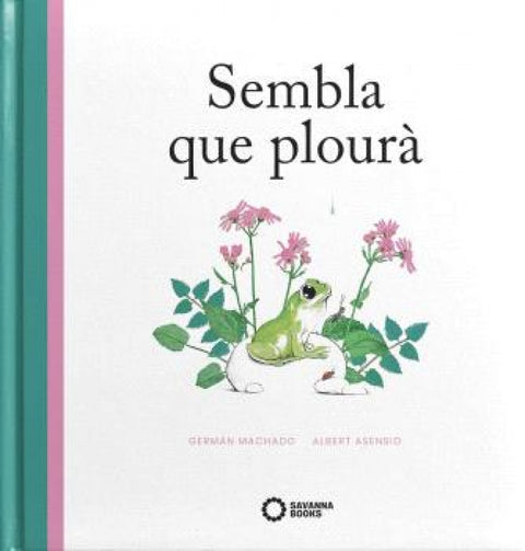  Sembla que plourà 