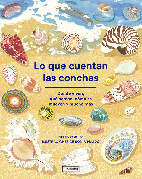  Lo que cuentan las conchas 