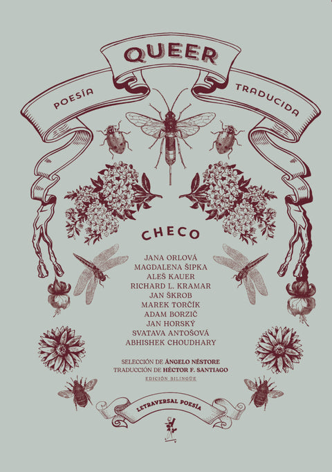  Poesía queer traducida: checo 
