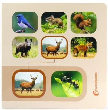  BUSCA Y ENCUENTRA ANIMALES DEL BOSQUE 