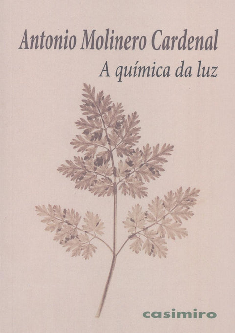  A química da luz 