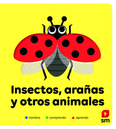  Insectos, arañas y otros animales 