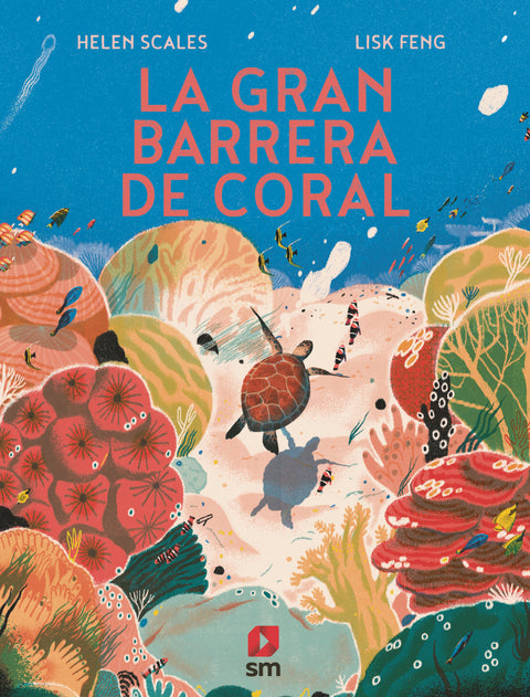  La Gran Barrera de Coral 