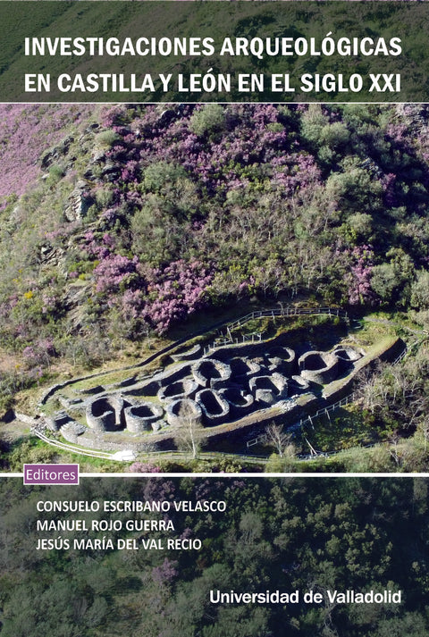  INVESTIGACIONES ARQUEOLÓGICAS EN CASTILLA Y LEÓN EN EL SIGLO XXI 