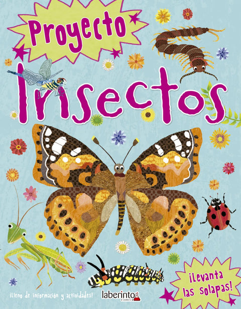  INSECTO 