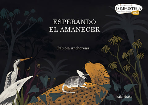  Esperando el amanecer 