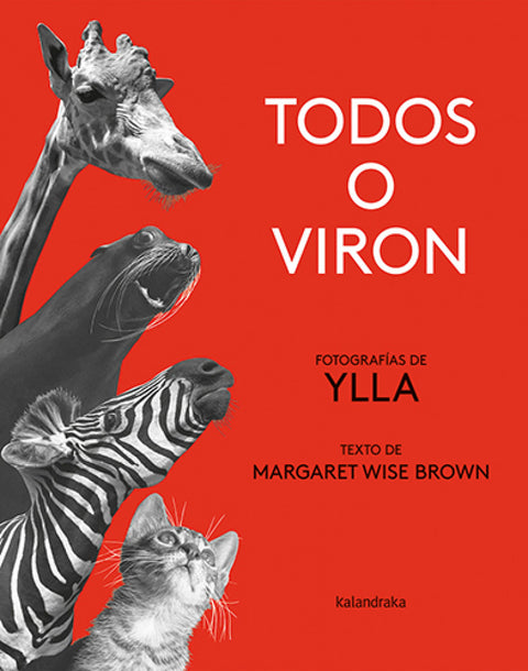  Todos o viron 