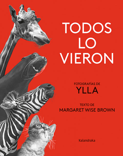  Todos lo vieron 