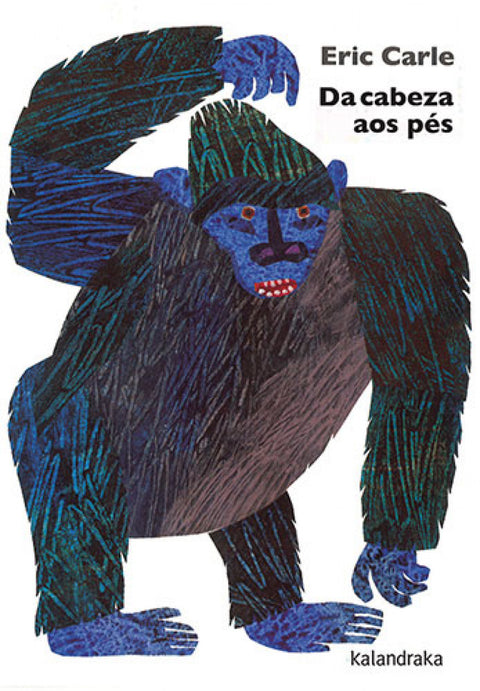  Da cabeza aos pés 