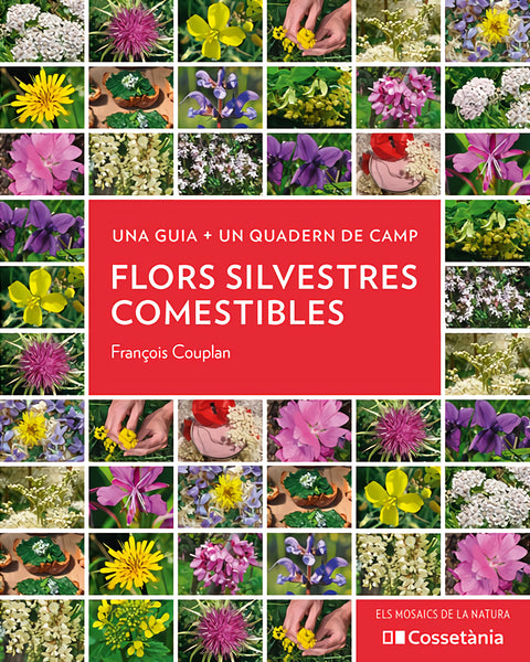  Flors silvestres comestibles 