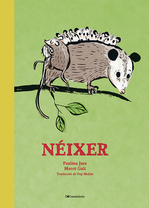  Néixer 