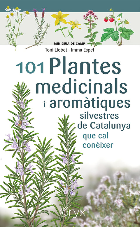  101 Plantes medicinals i aromàtiques silvestres de Catalunya 