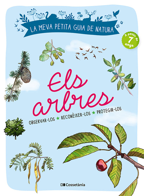  Els arbres 
