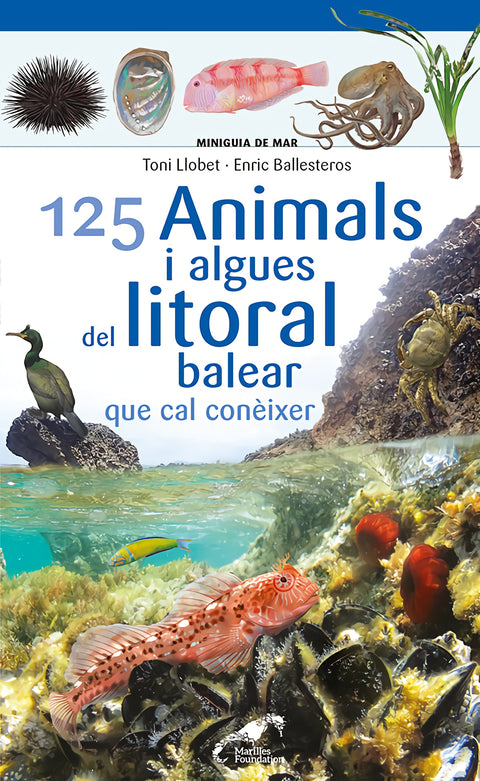  125 Animals i algues del litoral balear que cal conèixer 