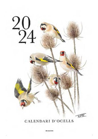  CALENDARI DOCELLS 2024 