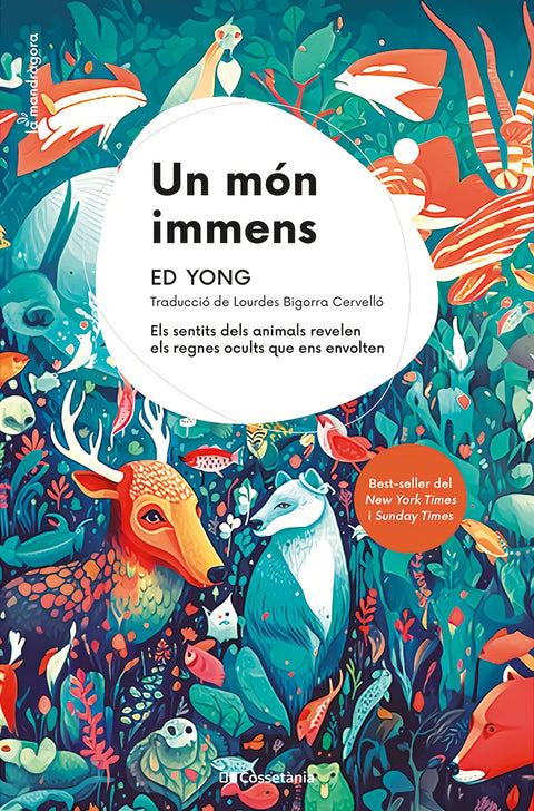 Un món immens 