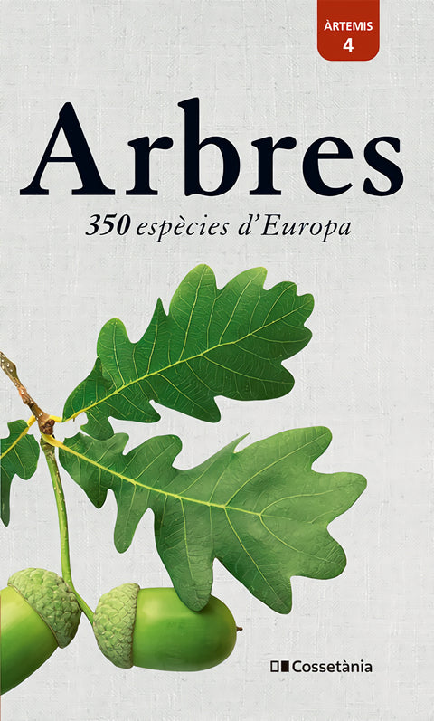  Arbres 