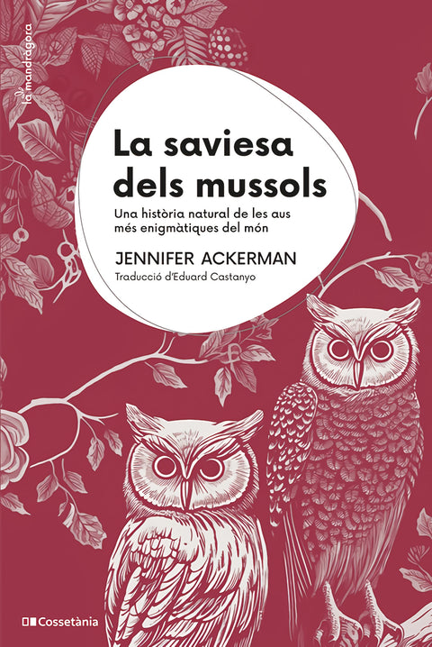  La saviesa dels mussols 