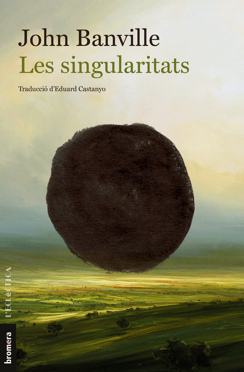  Les singularitats 