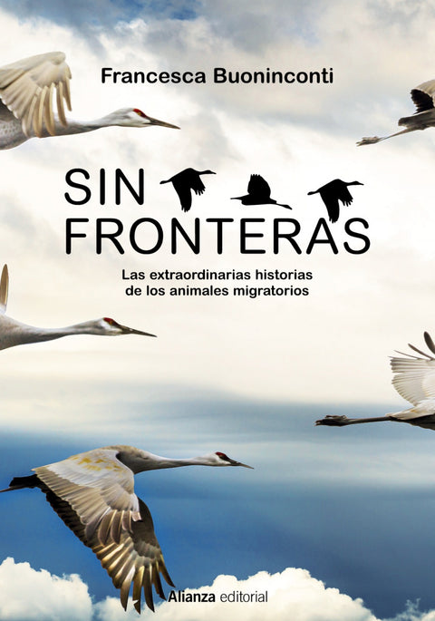  Sin fronteras 