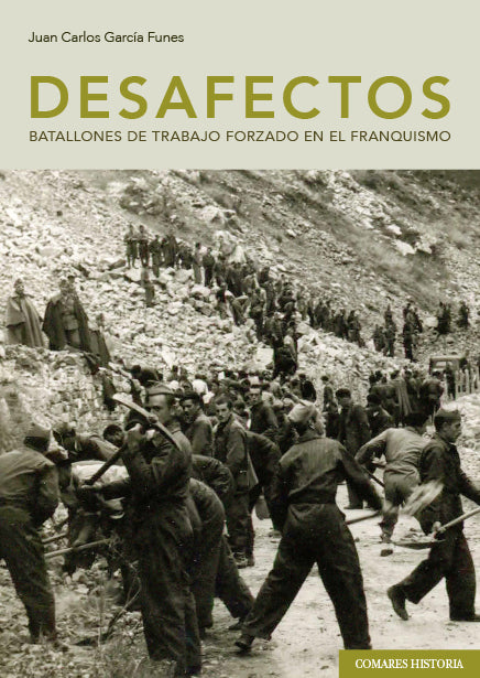  DESAFECTOS 