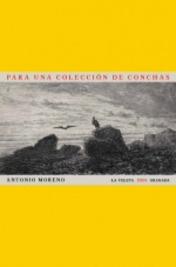  PARA UNA COLECCIÓN DE CONCHAS 