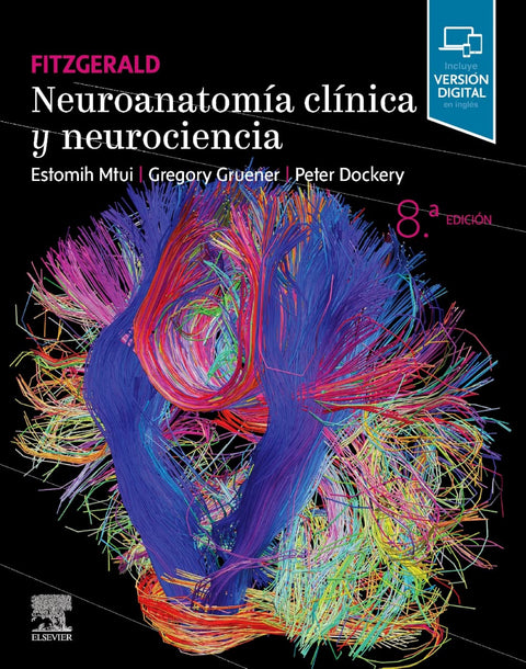  Fitzgerald. Neuroanatomía clínica y neurociencia 
